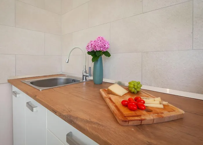 Echo Villa- Istra- Pool Jacuzzi- Bbq- Haustierfreundlich By Interhome Holiday home Segotici